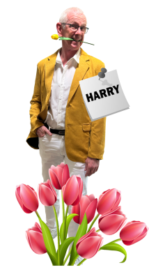 harry biotulp